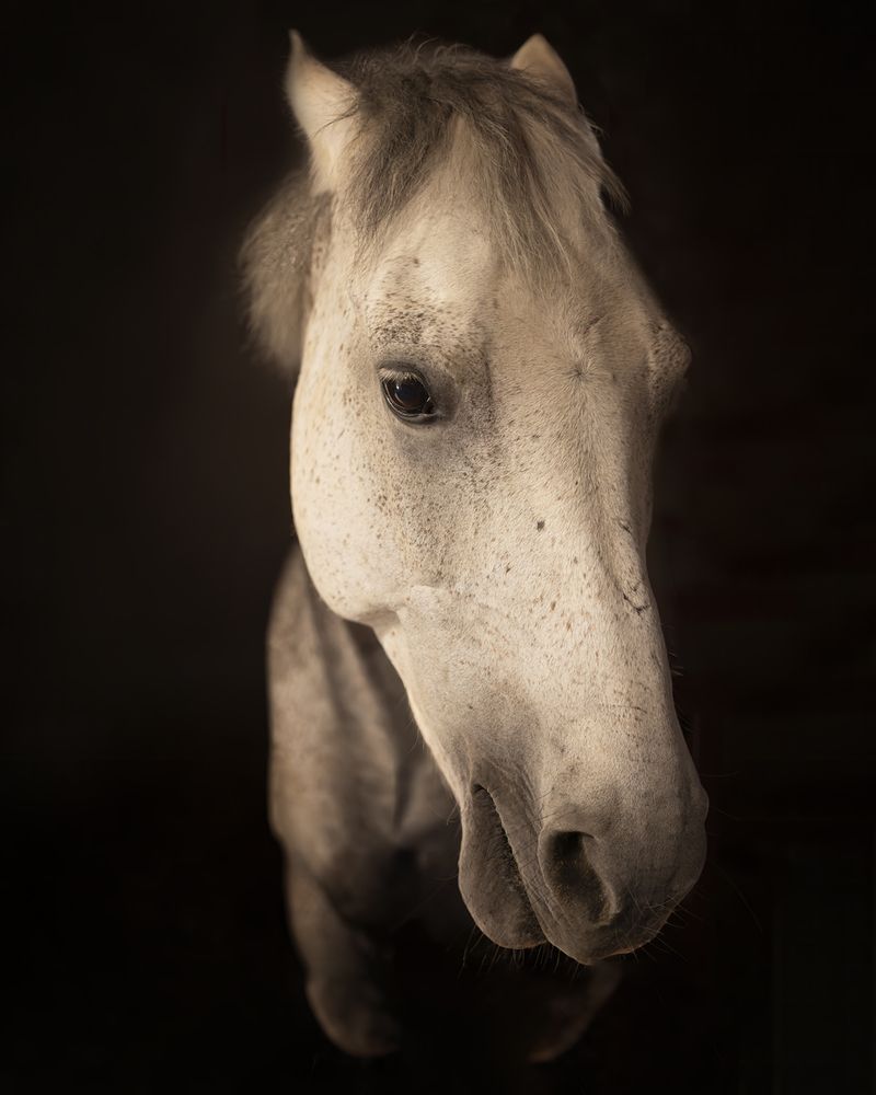 Фотография автора Guido Frazzini