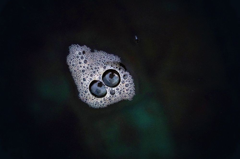 Photograph by Е лена Е