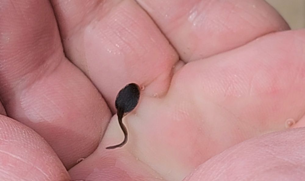 Photograph by Михаил Трусов