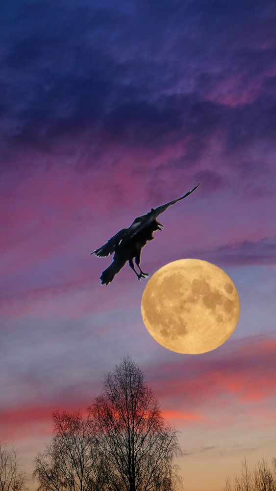 Photograph by Михаил Трусов