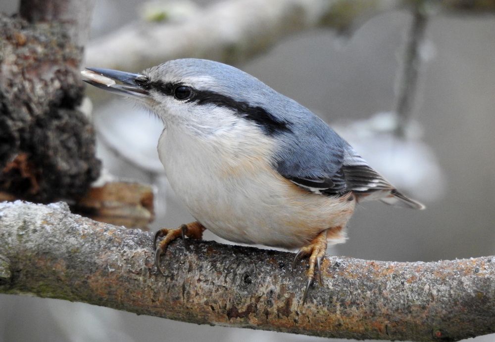 Photograph by Татьяна Калугина