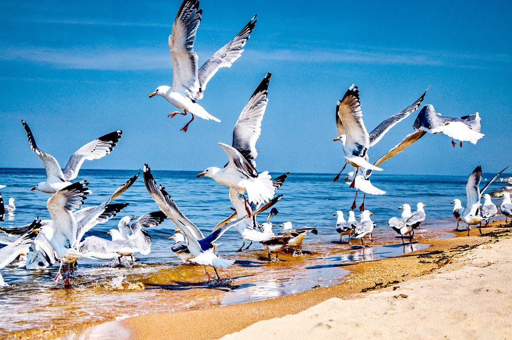 Photograph by Анастасия Сахаревич