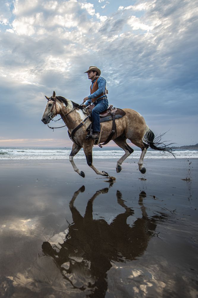 Reflections of Freedom