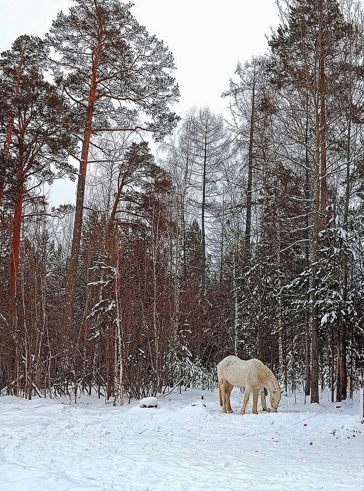 Photograph by Ирина Молоткова