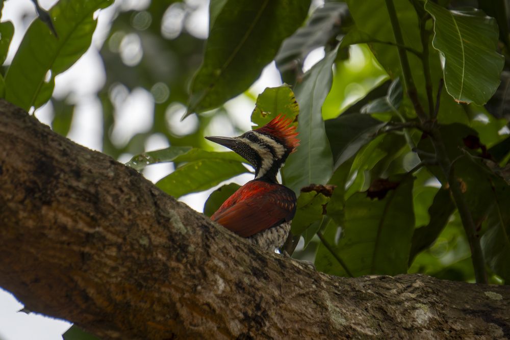 Photograph by Madusha Gamage