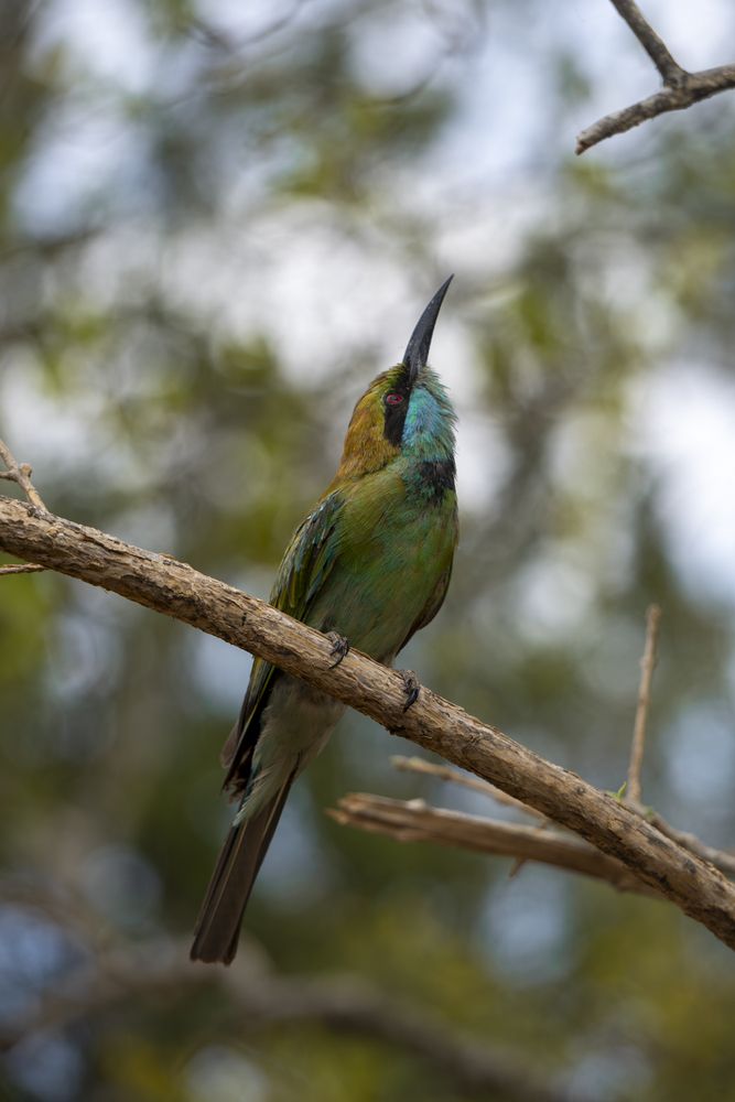 Photograph by Madusha Gamage