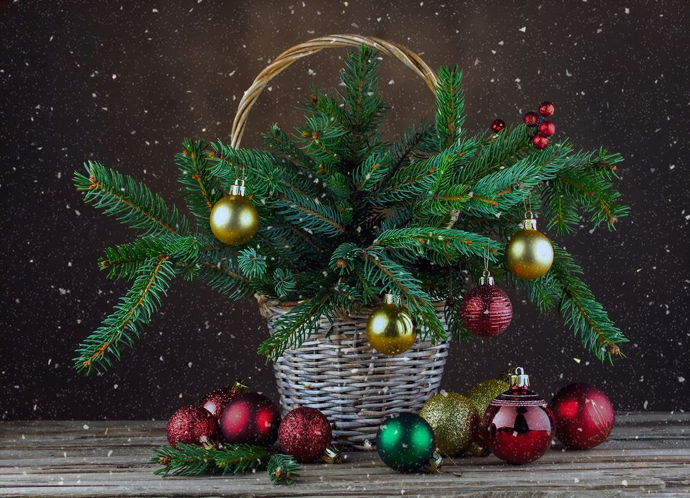 Photograph by Юрий Левко