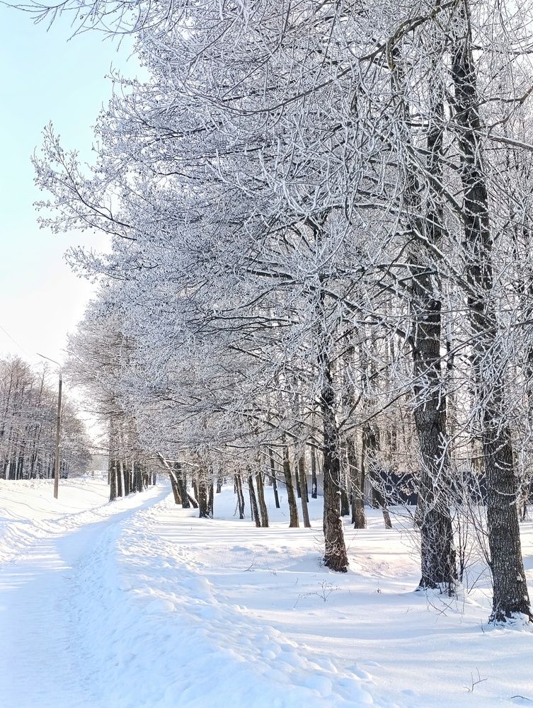 Фотография автора Юлия