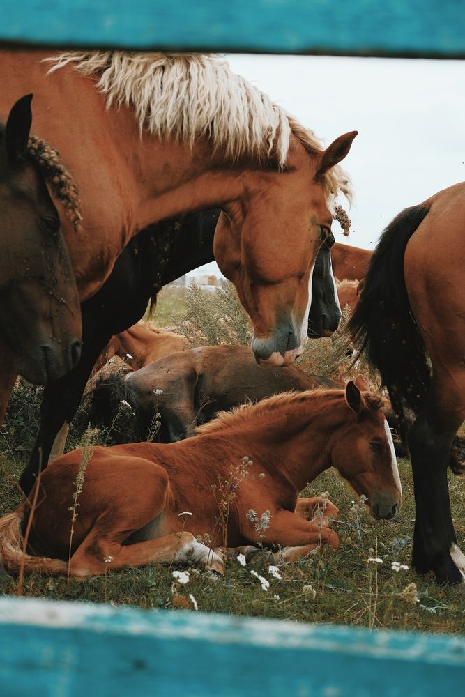 Photograph by Аида Фай