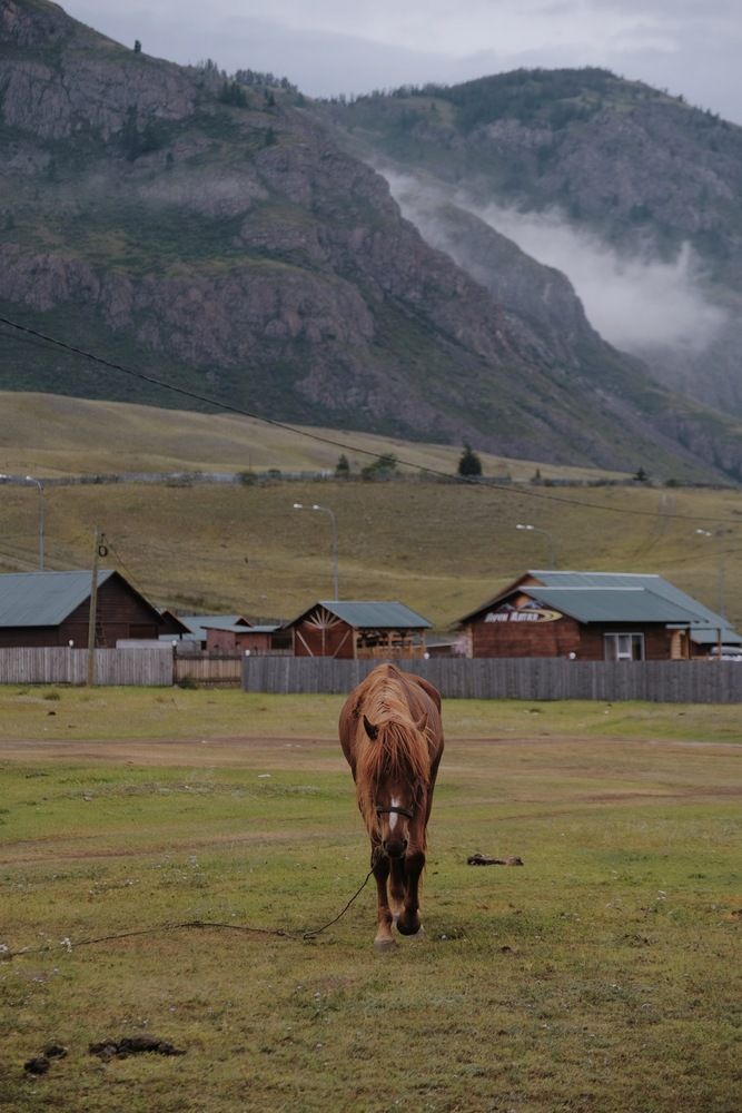 Photograph by Аида Фай