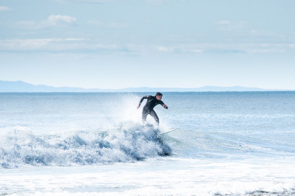 Photo #13114622