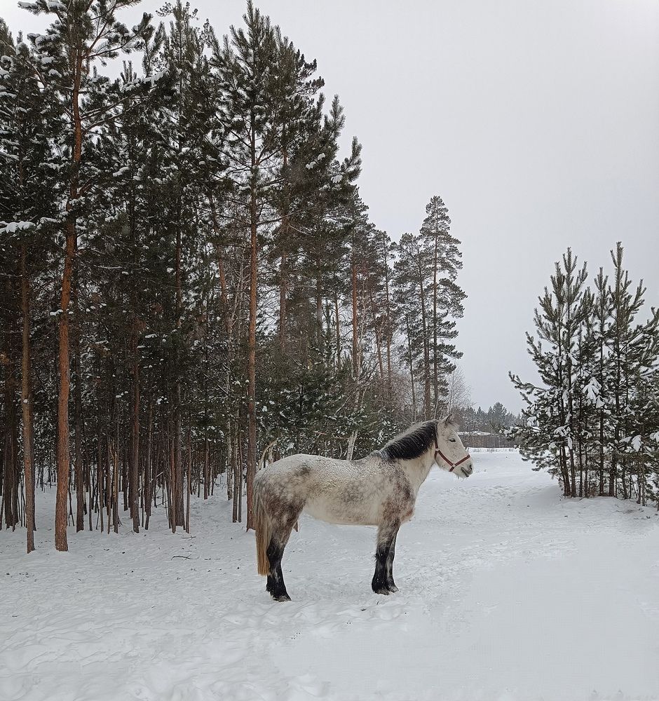 Photograph by Ирина Молоткова