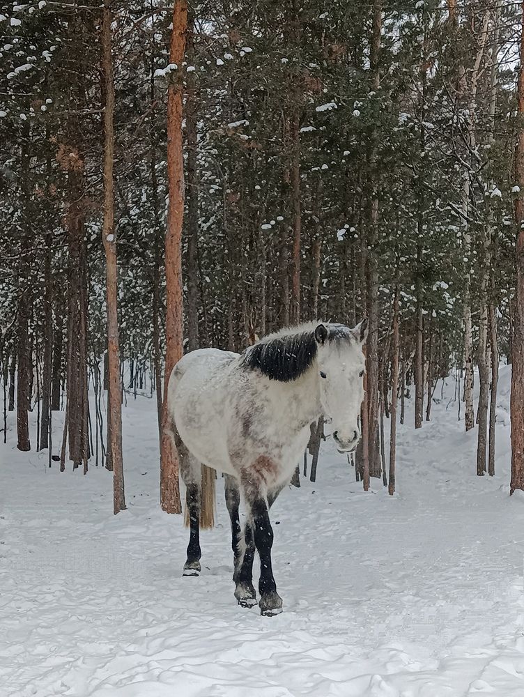 Photograph by Ирина Молоткова