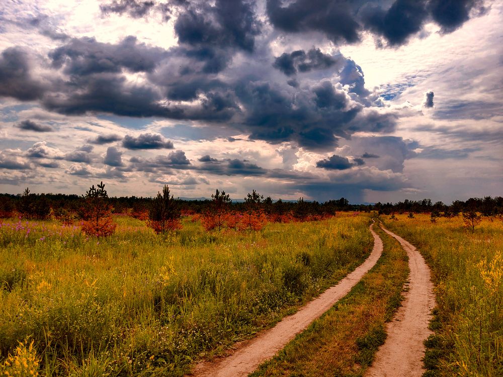 Photograph by Лапин Сергей