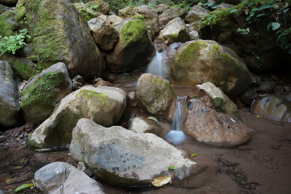 Фотография автора Jhaggu Bhandari