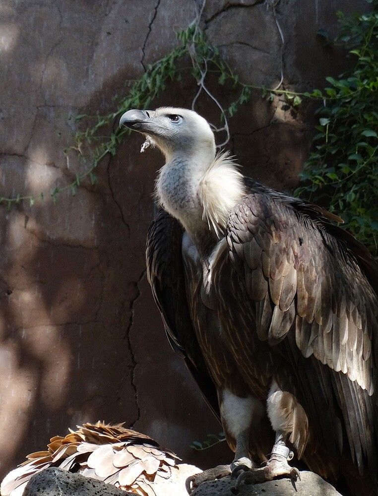 Photograph by Марина Раткун