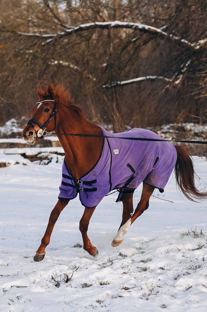 Photograph by Мария Горепёкина