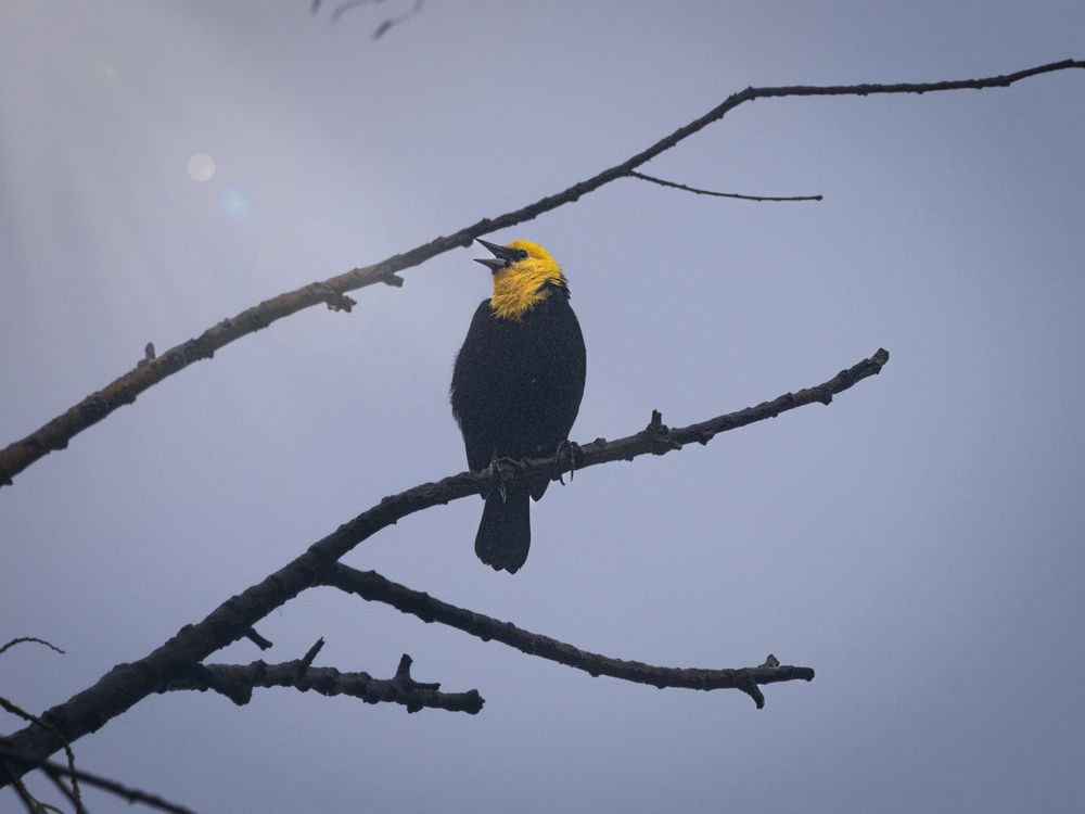 Фотография автора Camilo Rojas