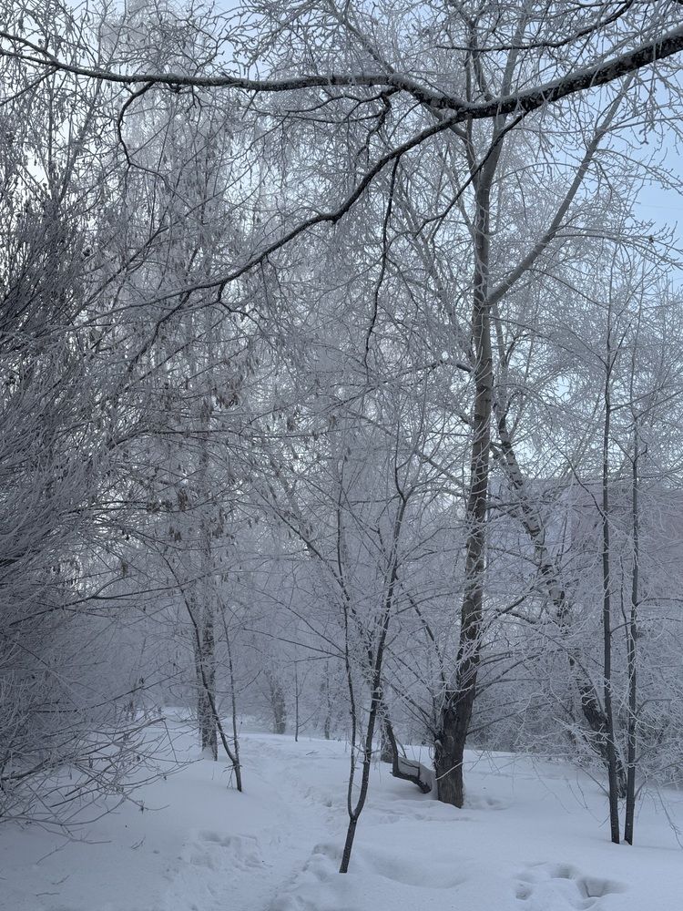 Photograph by Александра