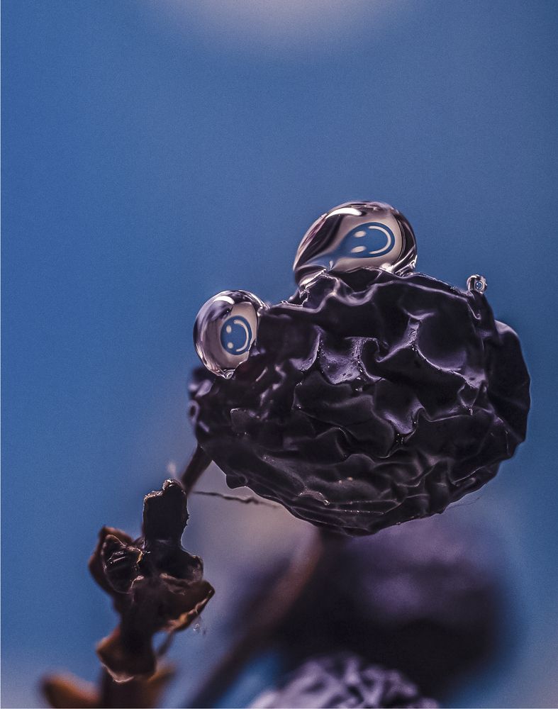 Фотография автора Victoria Mogulyan