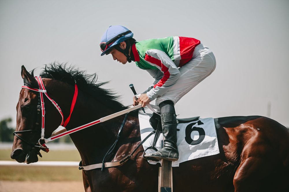 Краснодарский ипподром