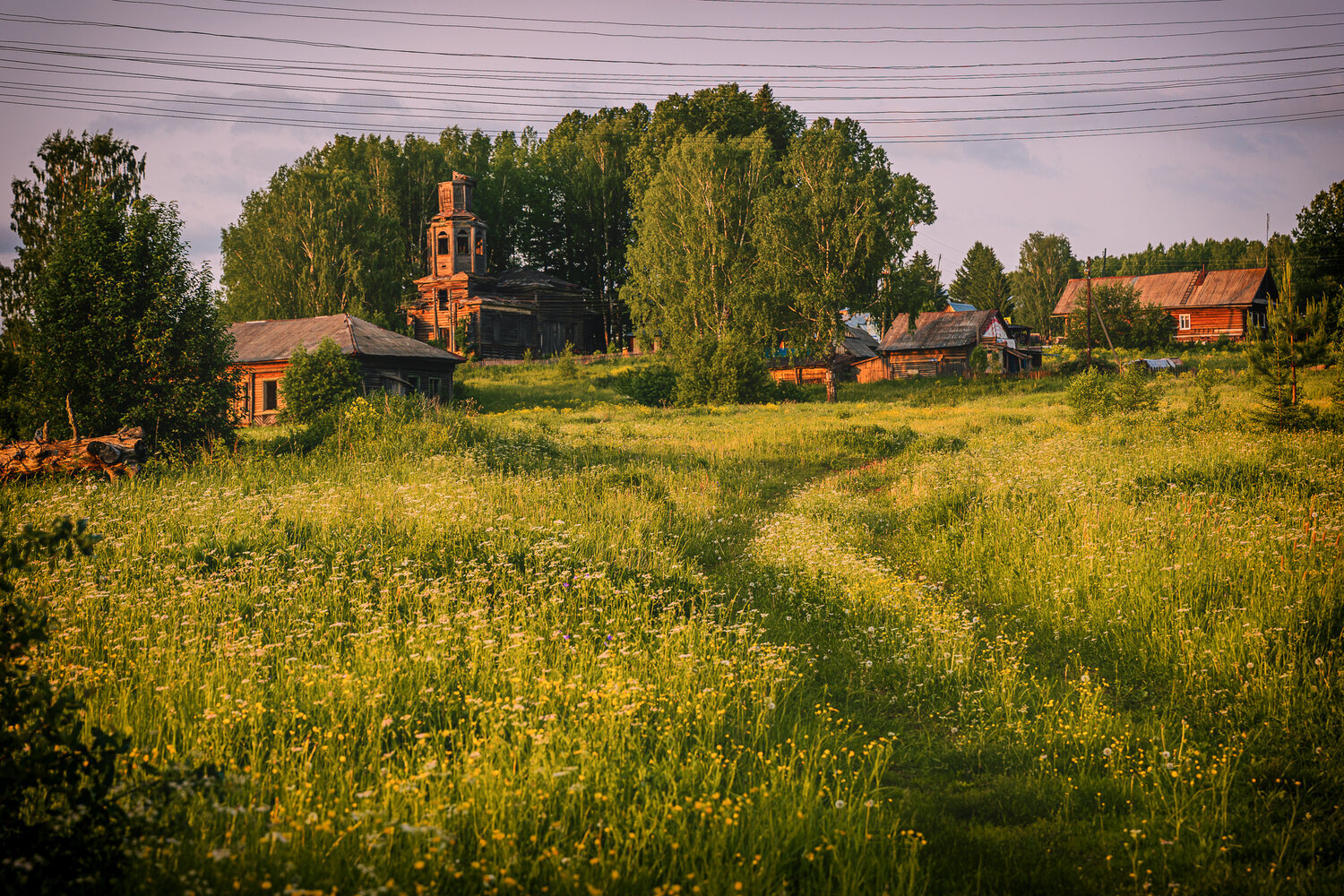 Photo #13114726