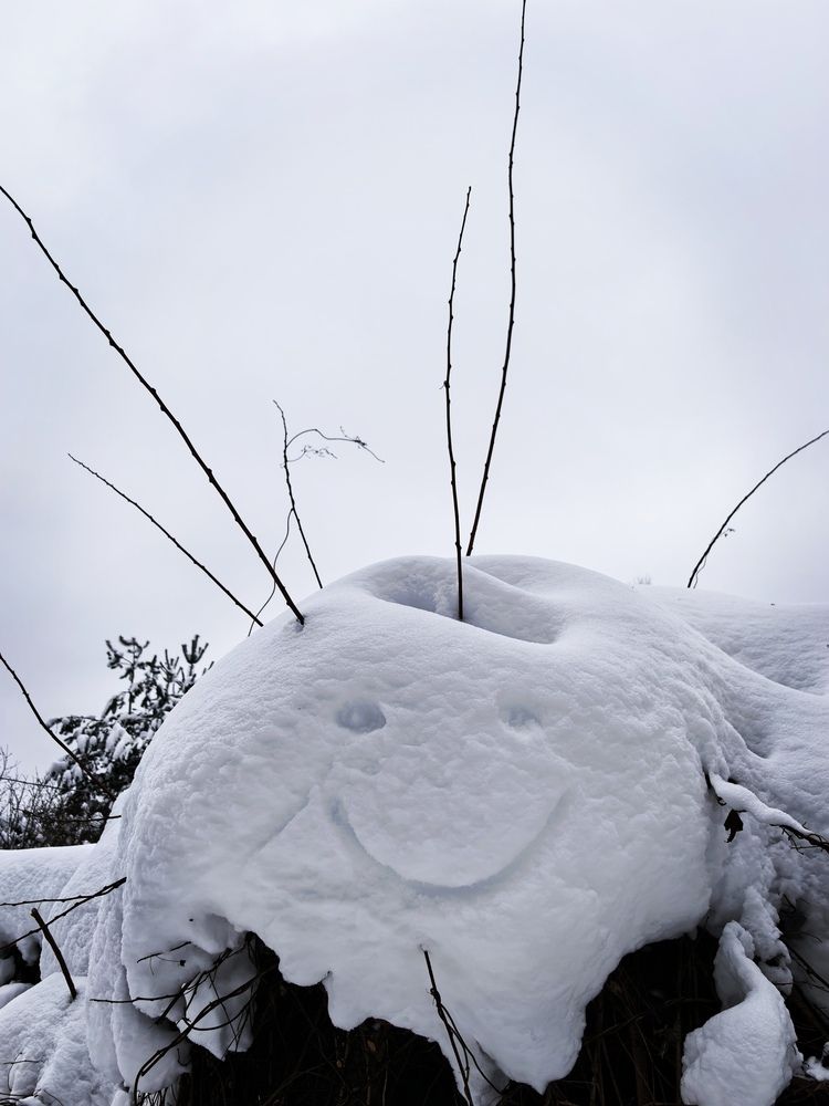 Фотография автора Елена Охапкина