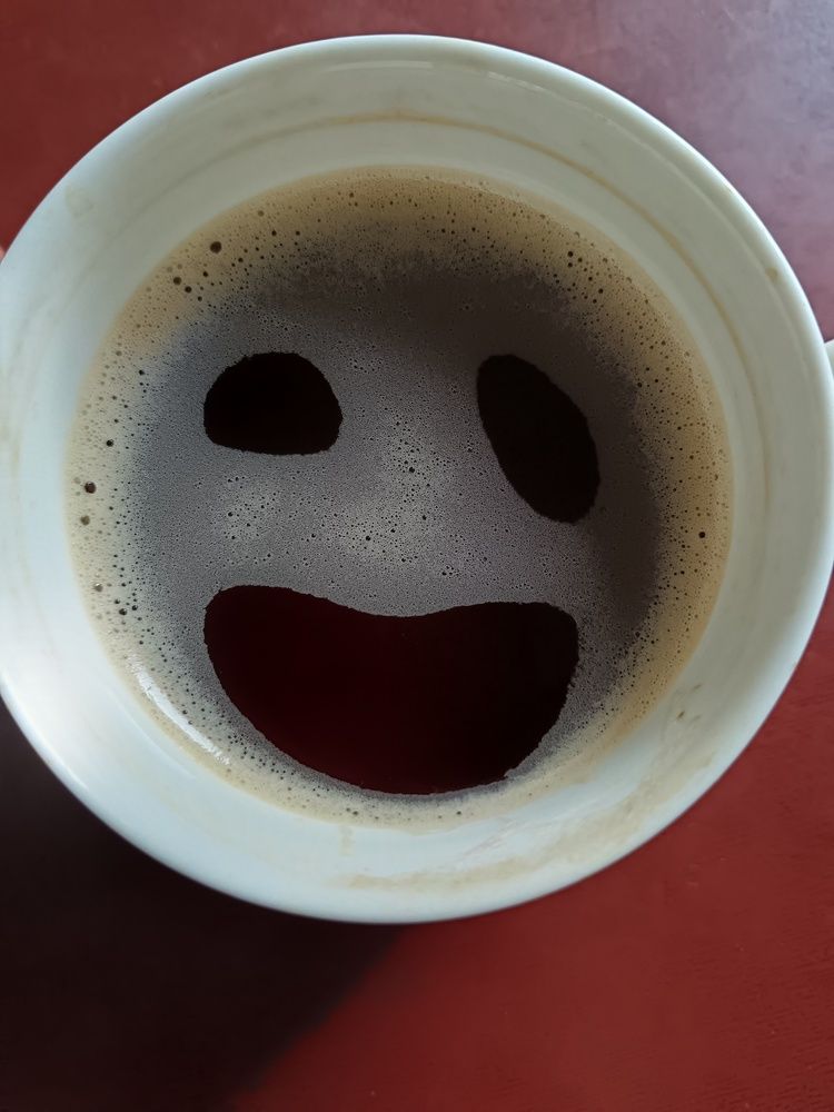 Photo #13114823