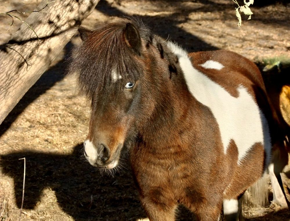 Фотография автора Татьяна Шитлина