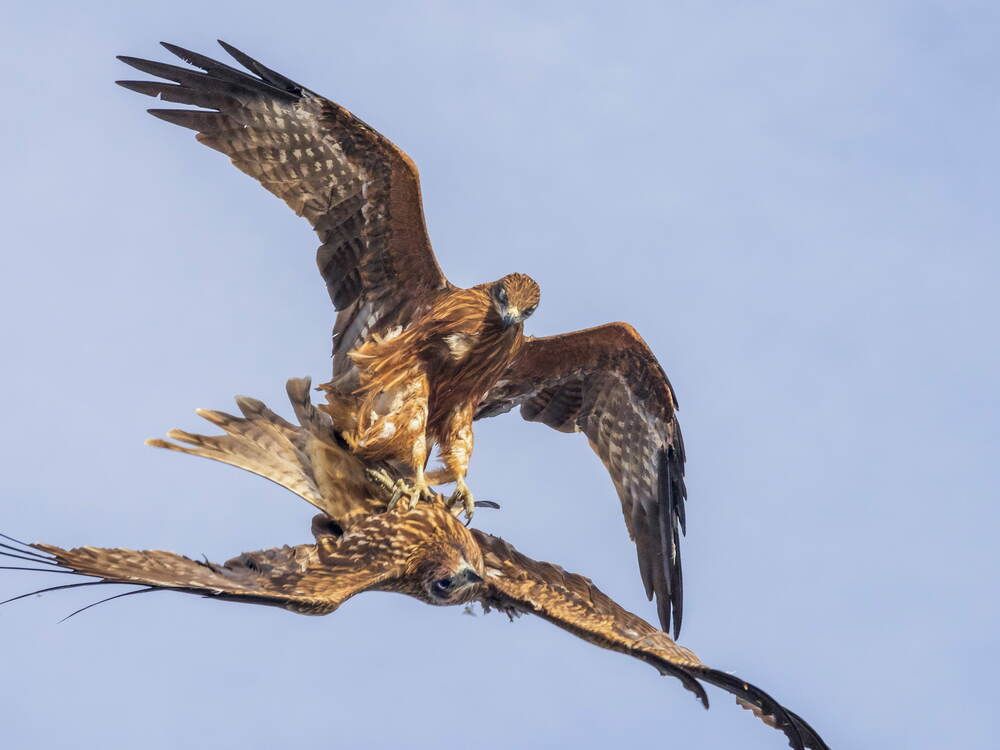 Photograph by Вячеслав ИВАНОВ