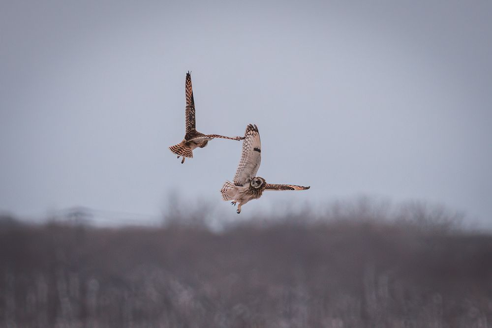 Фотография автора Nagai Go