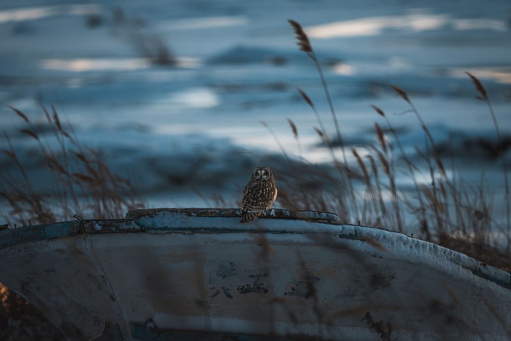 Фотография автора Nagai Go