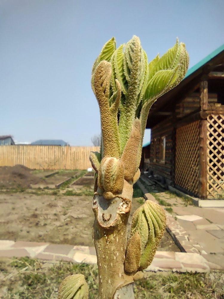 Фотография автора Оксана Лоншакова