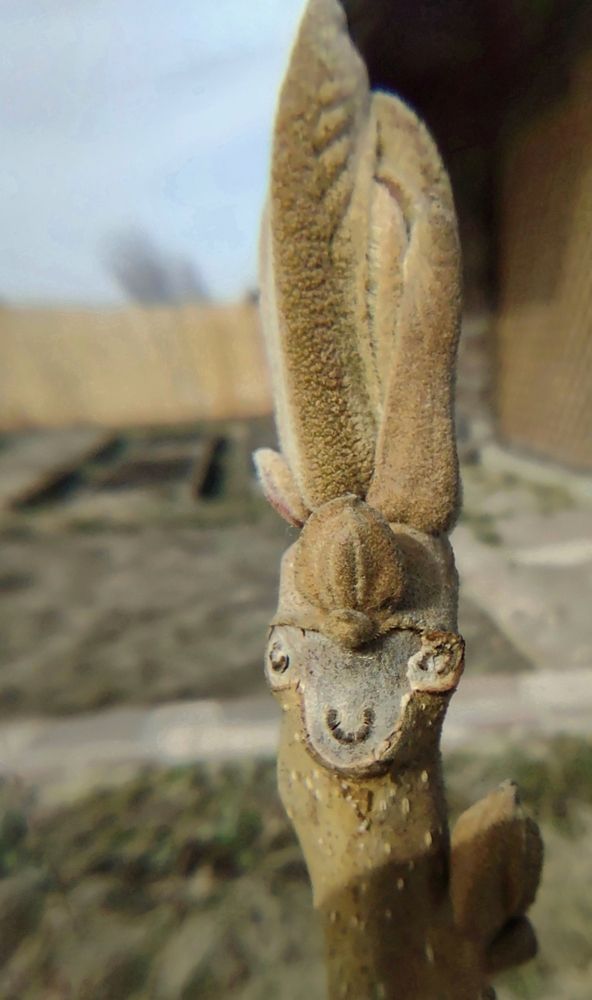 Фотография автора Оксана Лоншакова