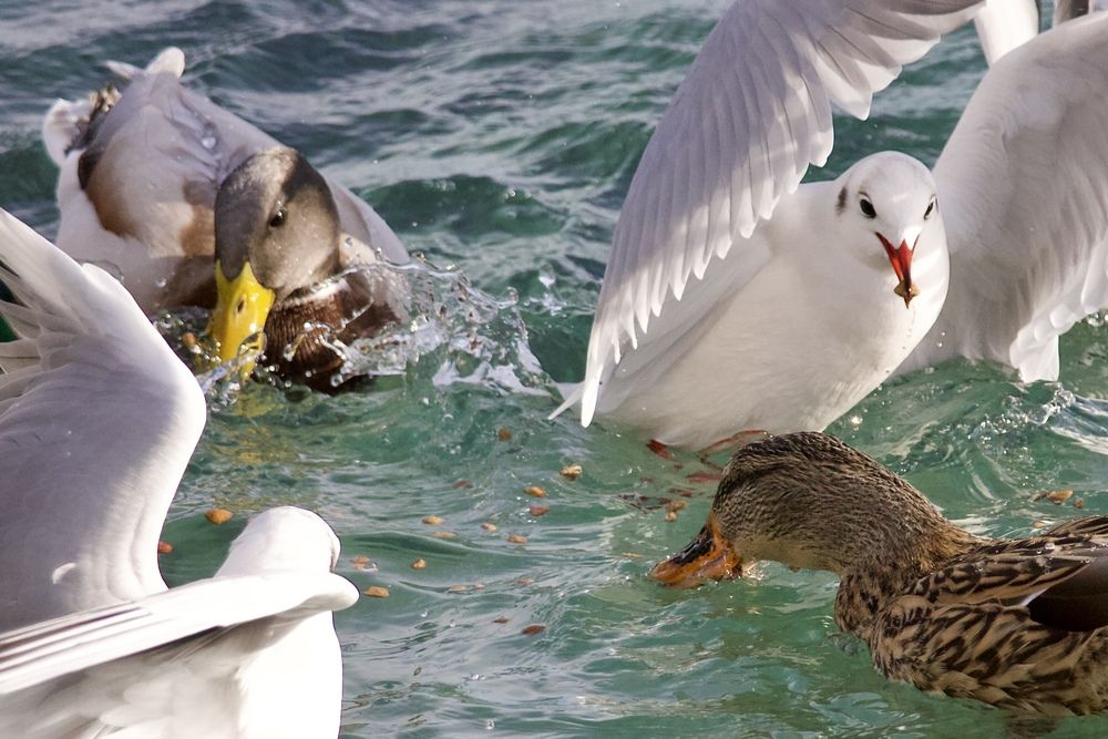 Photograph by Борис Захаров