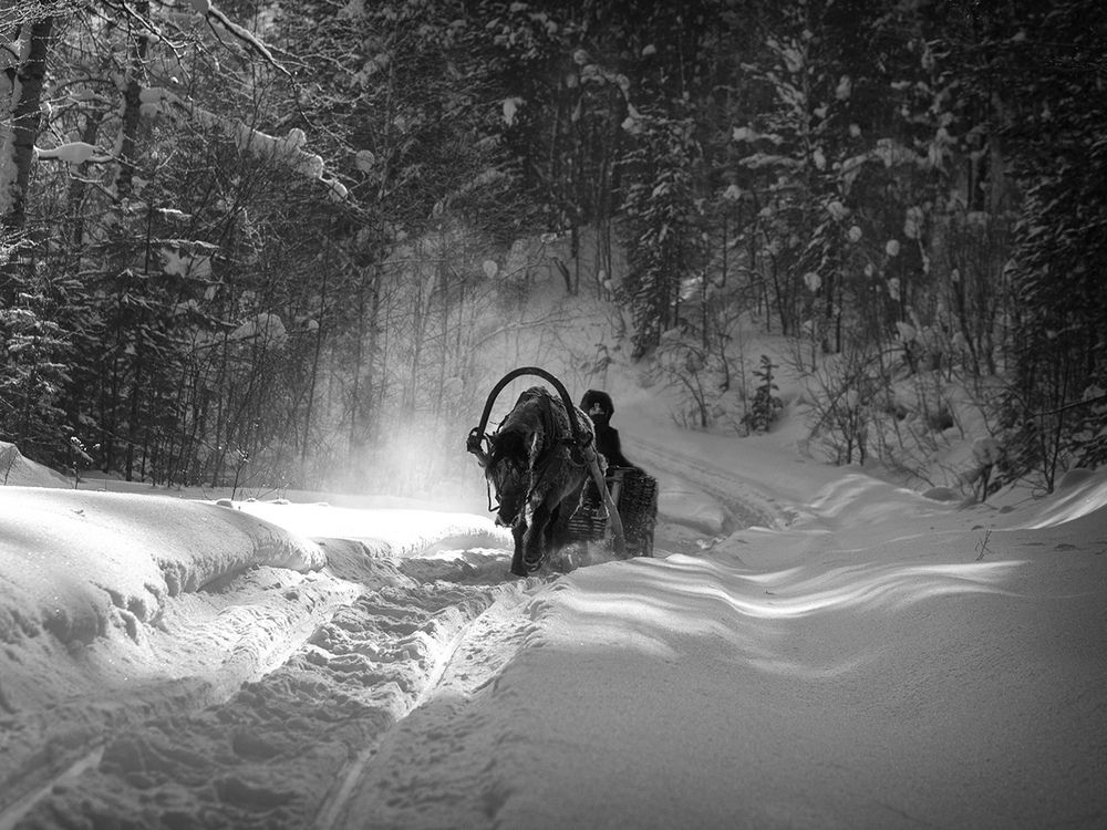 Photograph by Рашид Усманов