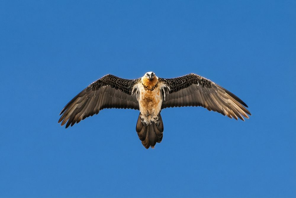 Photograph by Андрей Пучков