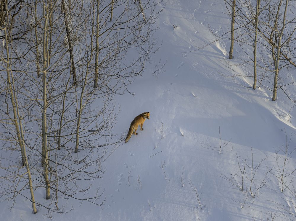 Photograph by Михаил Баженов