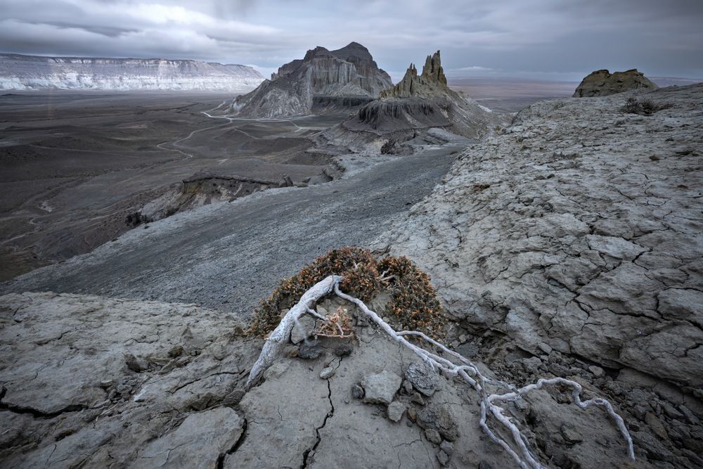Photograph by Ширгин Сергей