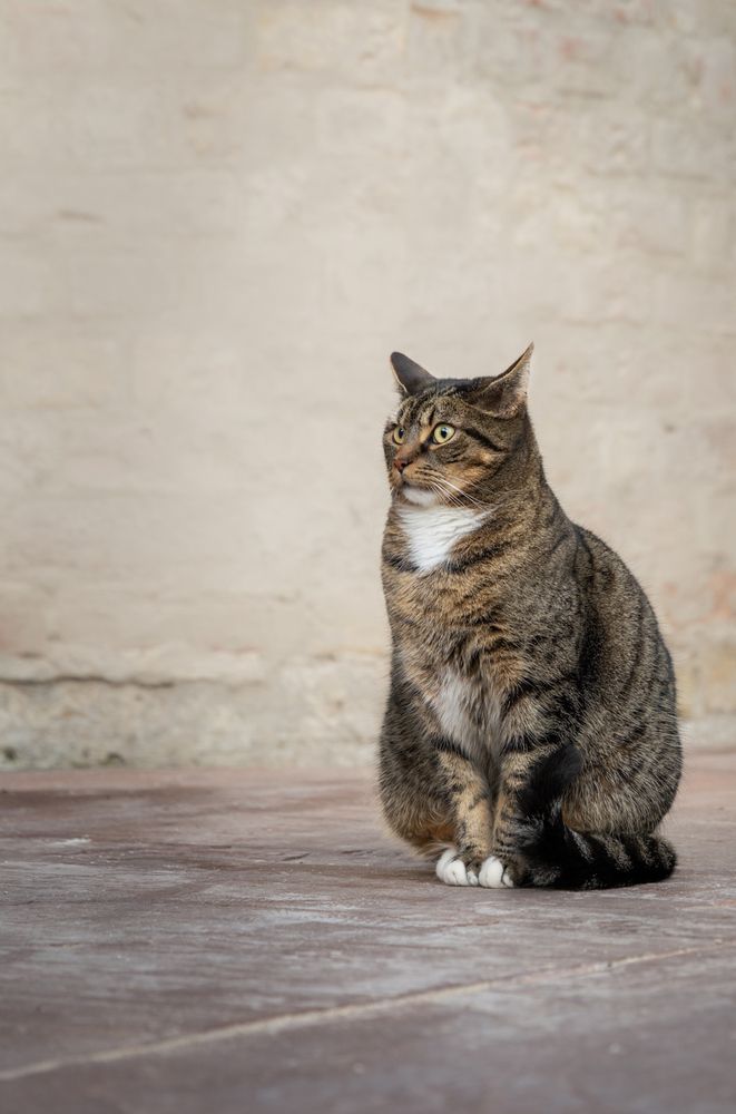 Photograph by Annemarie Visser