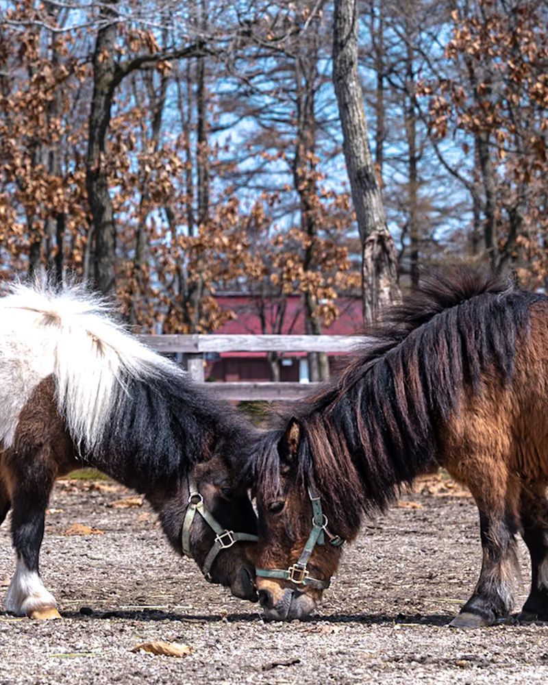 Photograph by Tatsuya Nieda