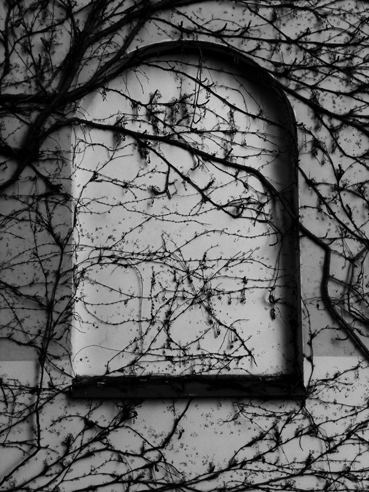 Фотография автора Татьяна Яцкевич