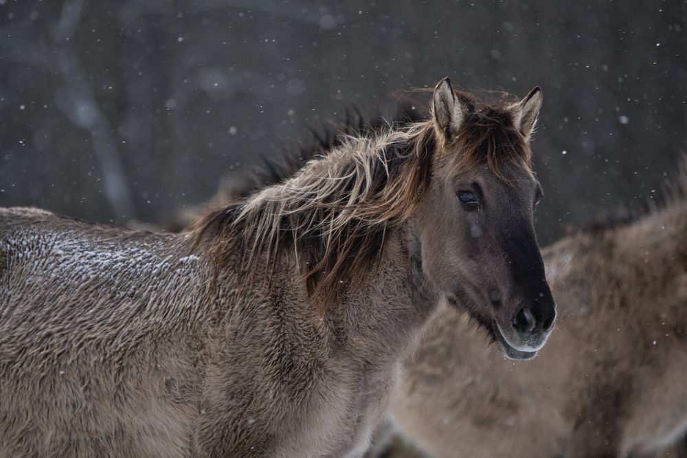 Фотография автора Марина Красовская