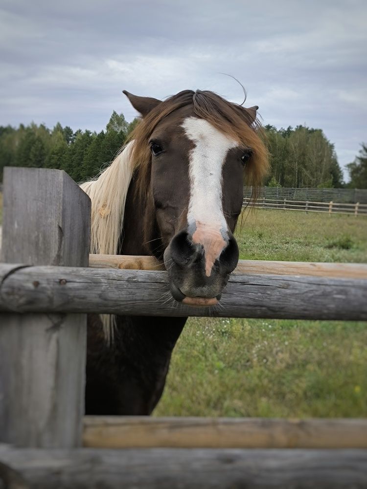 Фотография автора Татьяна Яцкевич