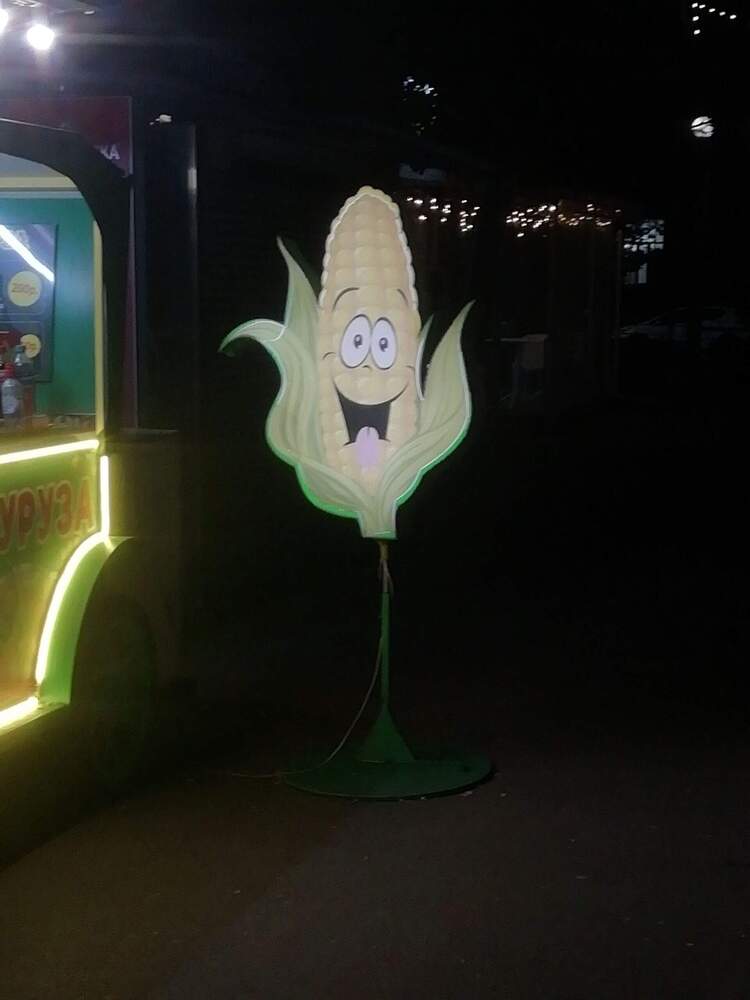 Photograph by Ирина Рягузова