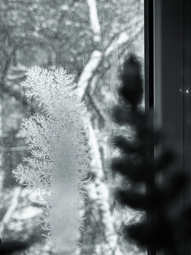 Фотография автора Анна Потапова