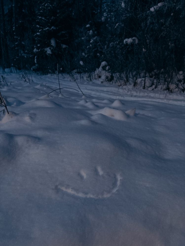 Фотография автора Елена Михалева