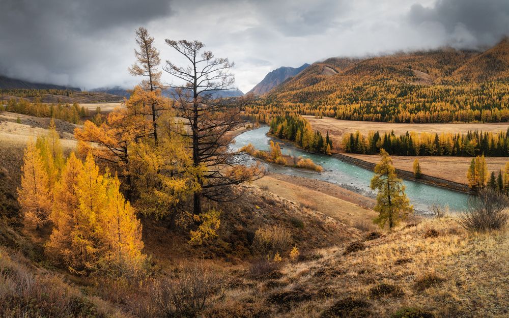 Photograph by Алёна Рубан