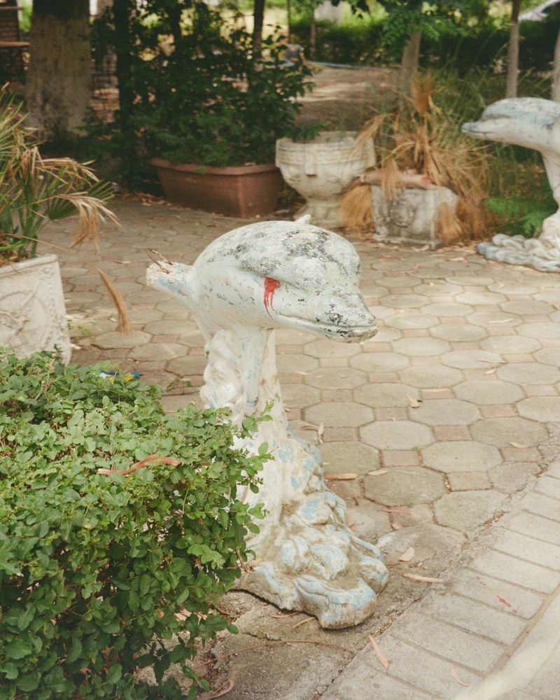 Photograph by Виктория смирнова