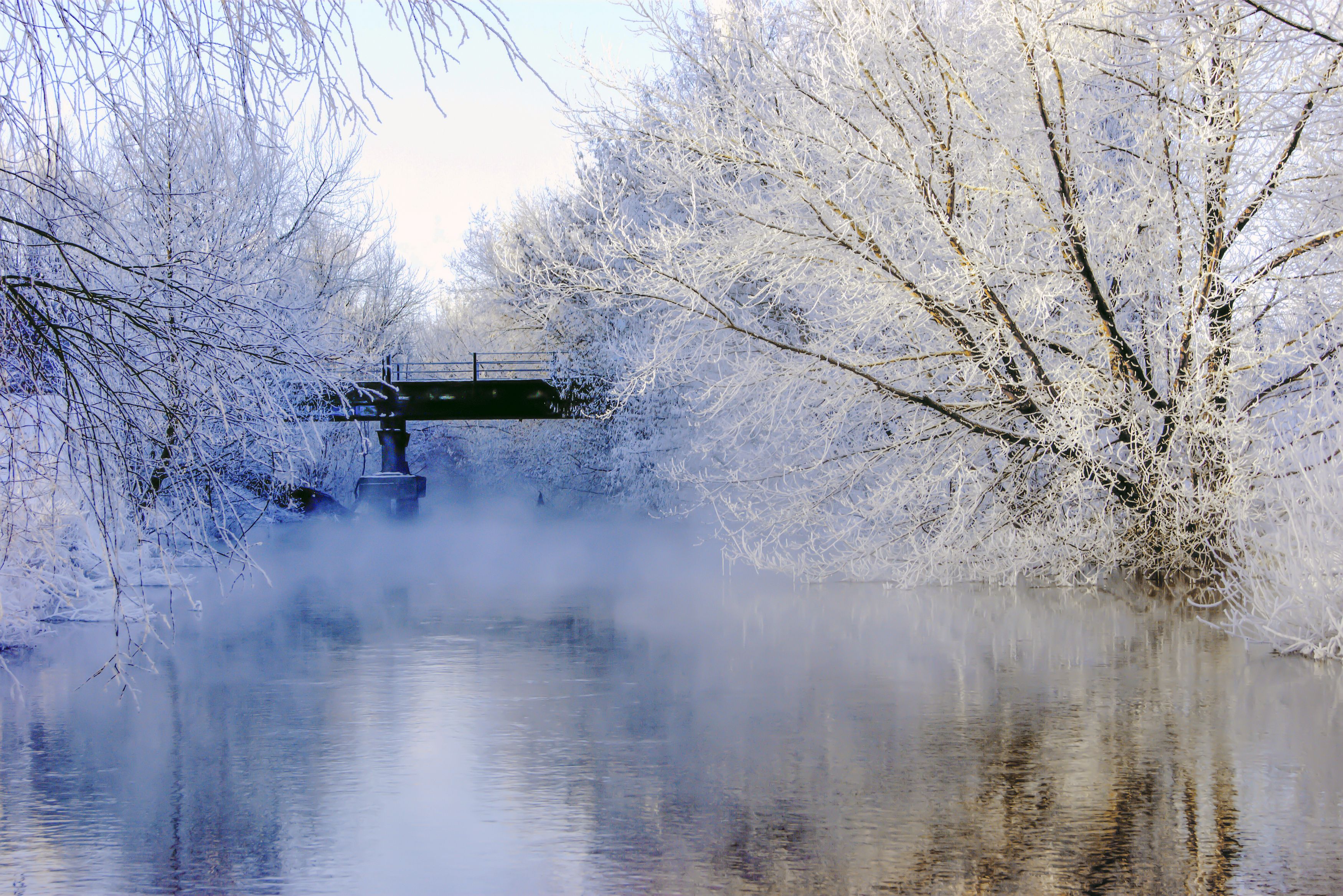 Фотография автора Графов Борис